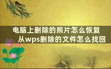 电脑上删除的照片怎么恢复 从wps删除的文件怎么找回